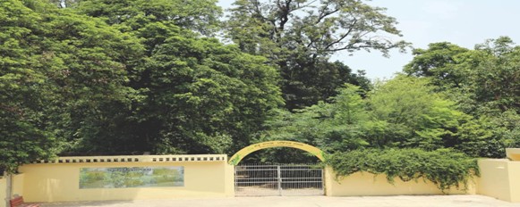 Guru Nanak Sacred Forest — main view