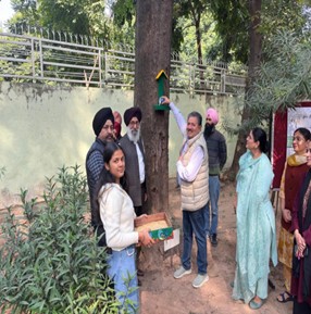Native plantation and bird-house initiative