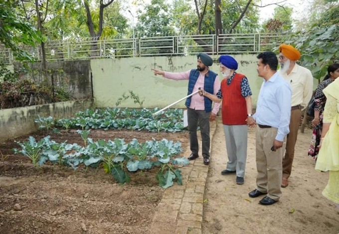 Observing organic farming