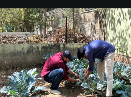 Student and teacher engagement in organic farming