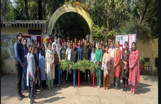 Free Organic Veggies — distribution drive at GNSF