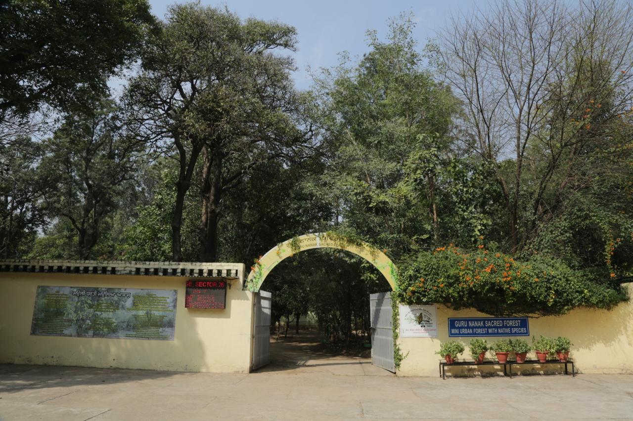 Guru Nanak Sacred Forest entrance arch — mini urban forest with native species