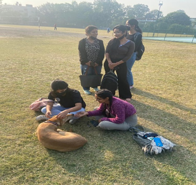 PAWS Reflect students