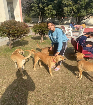 PAWS Reflect winners