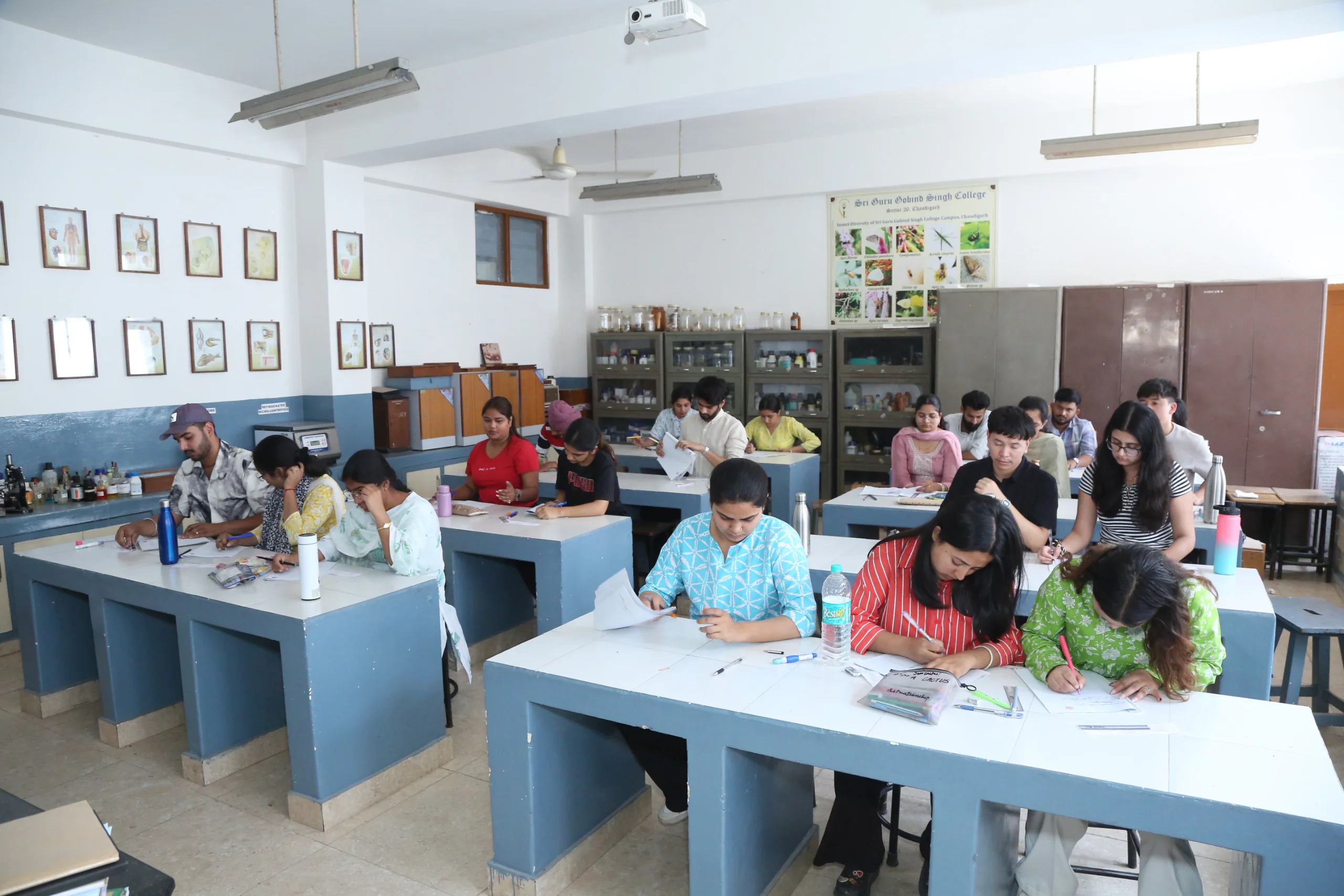Zoology lab work