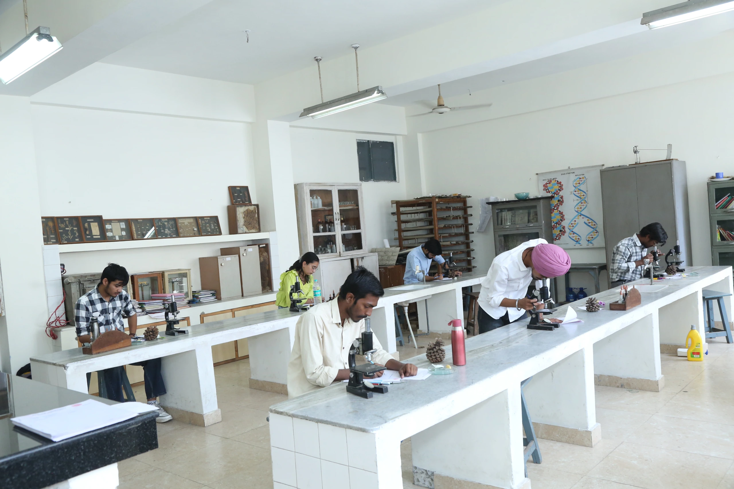 Zoology Laboratory — photo 4